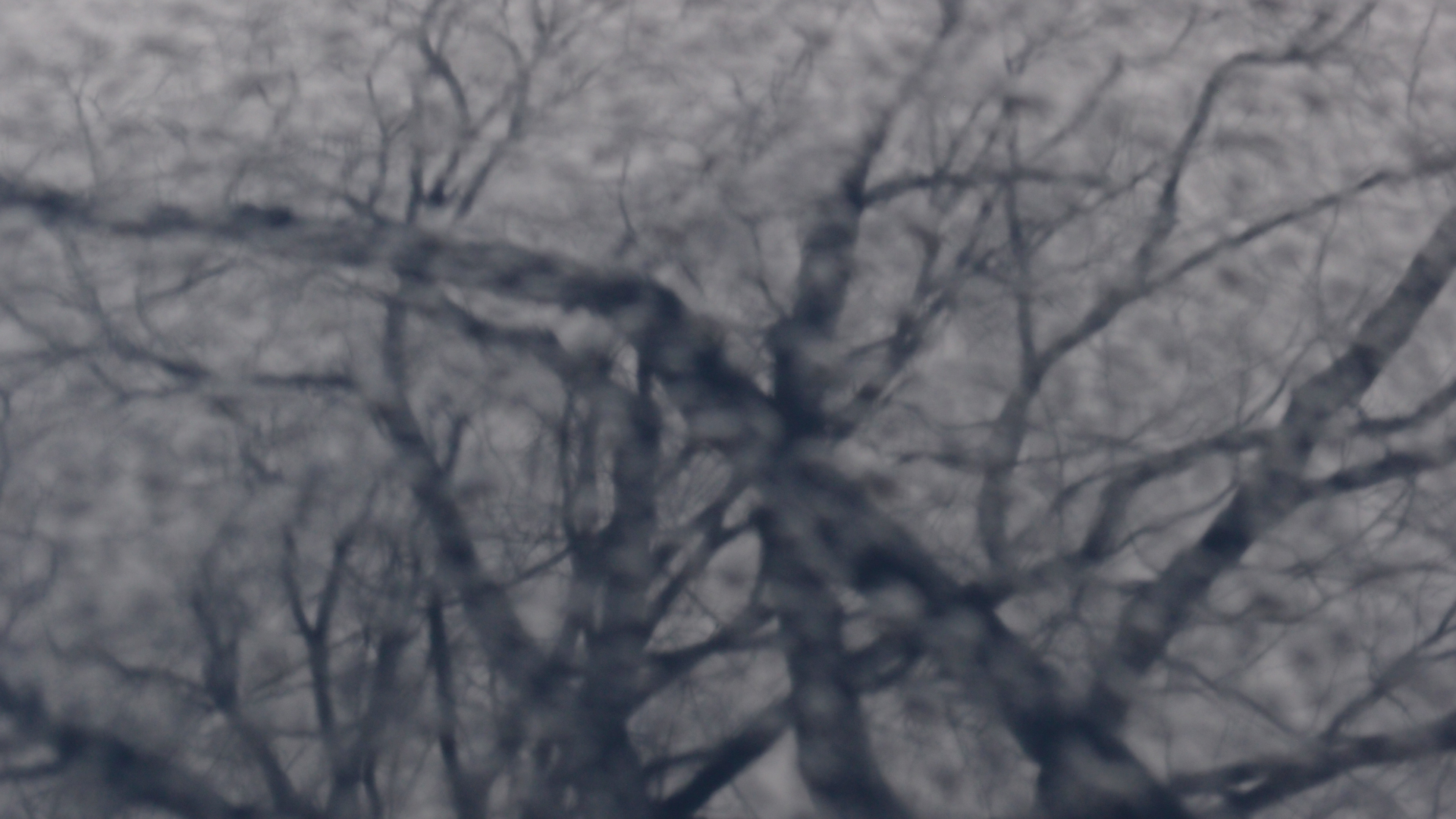 2021-01-06 - 08 Kühlgeträt (On/Off) (Remix John Cage - Empty Words IV)